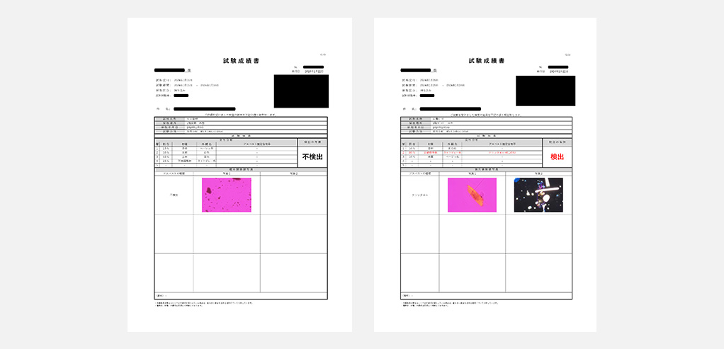 分析結果報告書のサンプルエリア